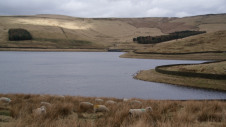 Pictured: Castleshaw Upper Reservoir, Oldham